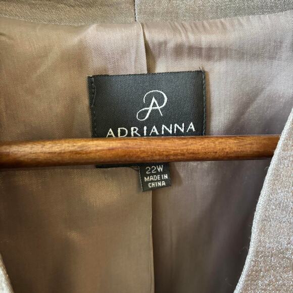 Adrianna Tiered Metallic Silver Dress & Jacket Set – Size 22W - Picture 2 of 7